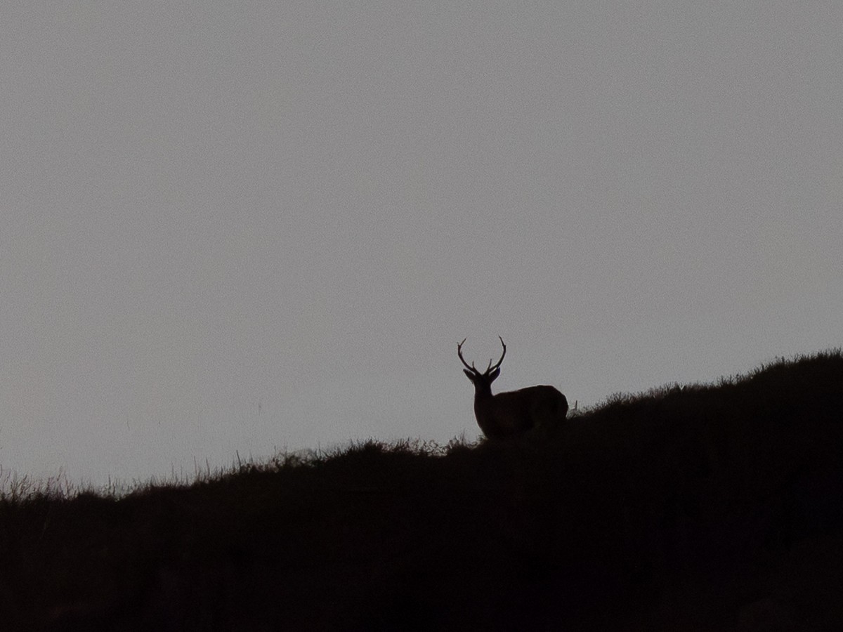 13102025-13 10 25 (6).jpg